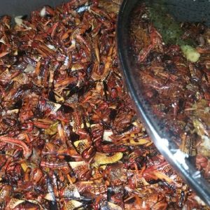 Resep Bumbu Walang Goreng