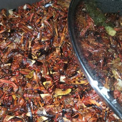 Resep Bumbu Walang Goreng